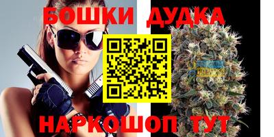 сатива Жуковский
