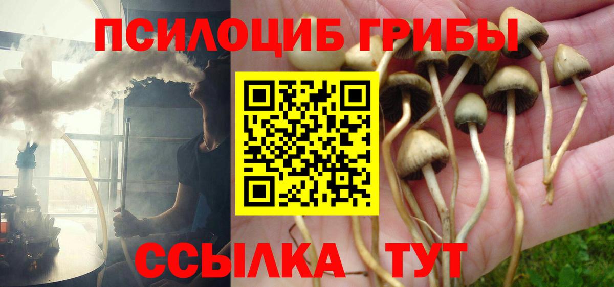 Лосино-Петровский  Псилоцибиновые грибы прущие грибы  Вход с VPN 